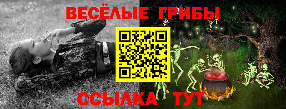 Галлюциногенные грибы Psilocybe  Псилоцибиновые грибы MAGIC MUSHROOMS  Вход с VPN  Копейск 
